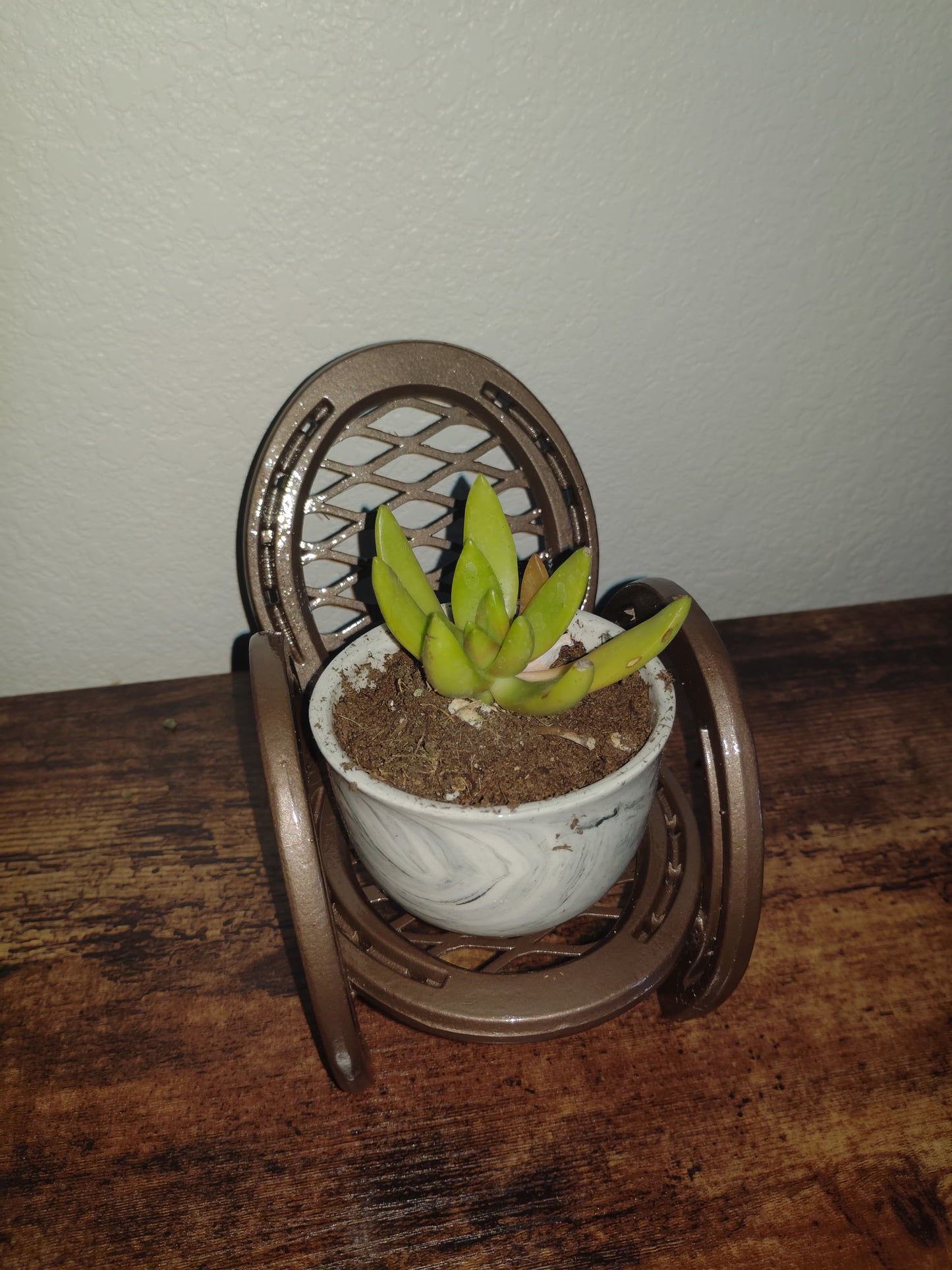 Horseshoe Chair plant stand / Candle holder / cell phone holder
